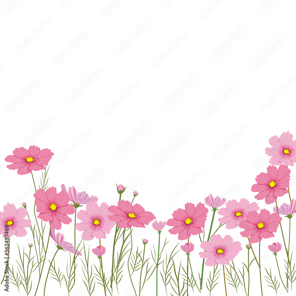 コスモス畑 Stock ベクター Adobe Stock