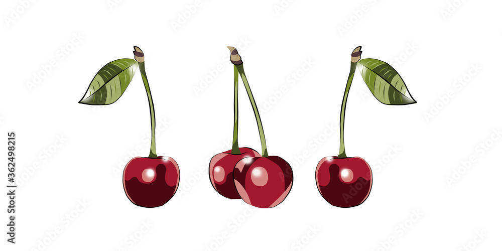 Curb color of cherries on a white background. Curb color of cherries on a white background.