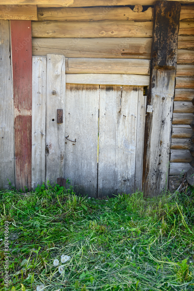 A wooden door on the old wooden wall of a log house
