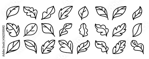 Leaves icon vector set isolated on white background. leaf logo design element. © TWINS DESIGN STUDIO