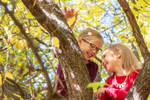 sisters play on a tree © Gribanov