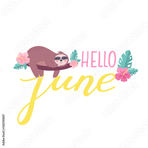 Cute sloth. Summer card bright illustration in cartoon style. Hello June lettering. Vector