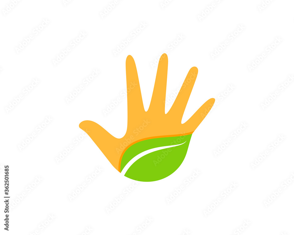 Obraz premium Palm nature leaf