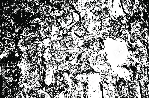 Wallpaper Mural Wooden texture. Tree wood material.Grunge texture. Grunge black and white vector overlay. Grungy grainy surface. Torontodigital.ca