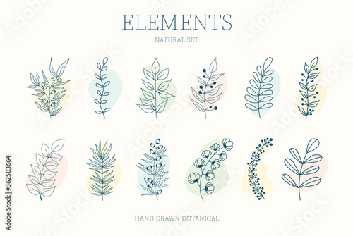 Vector set of nerd elements with circles of different colors on an isolated background. Tropical plants, leaves and branches with flowers. Hand drawn style. For printing on fabric and clothing,