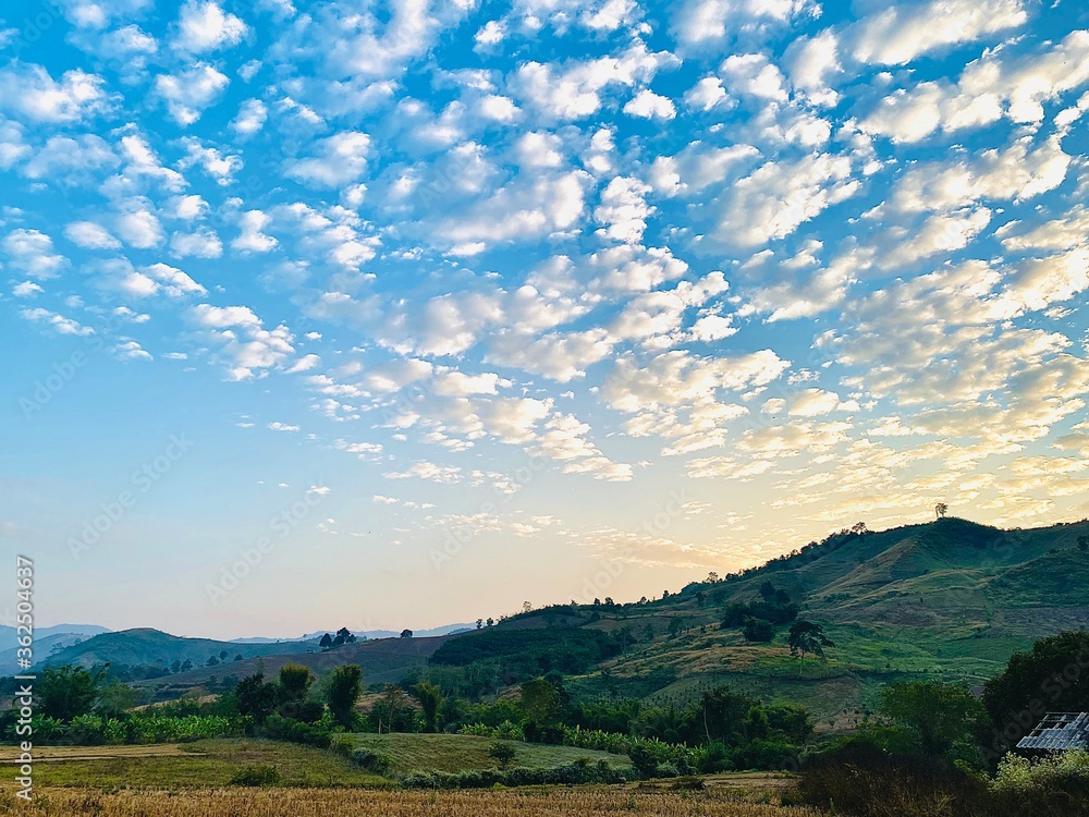Fototapeta premium landscape with mountains