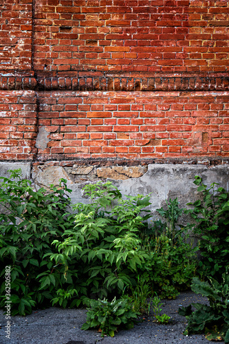 The texture of the old brick.