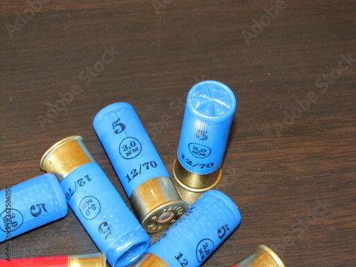 shotgun cartridges 12 gauge on a monotonous background