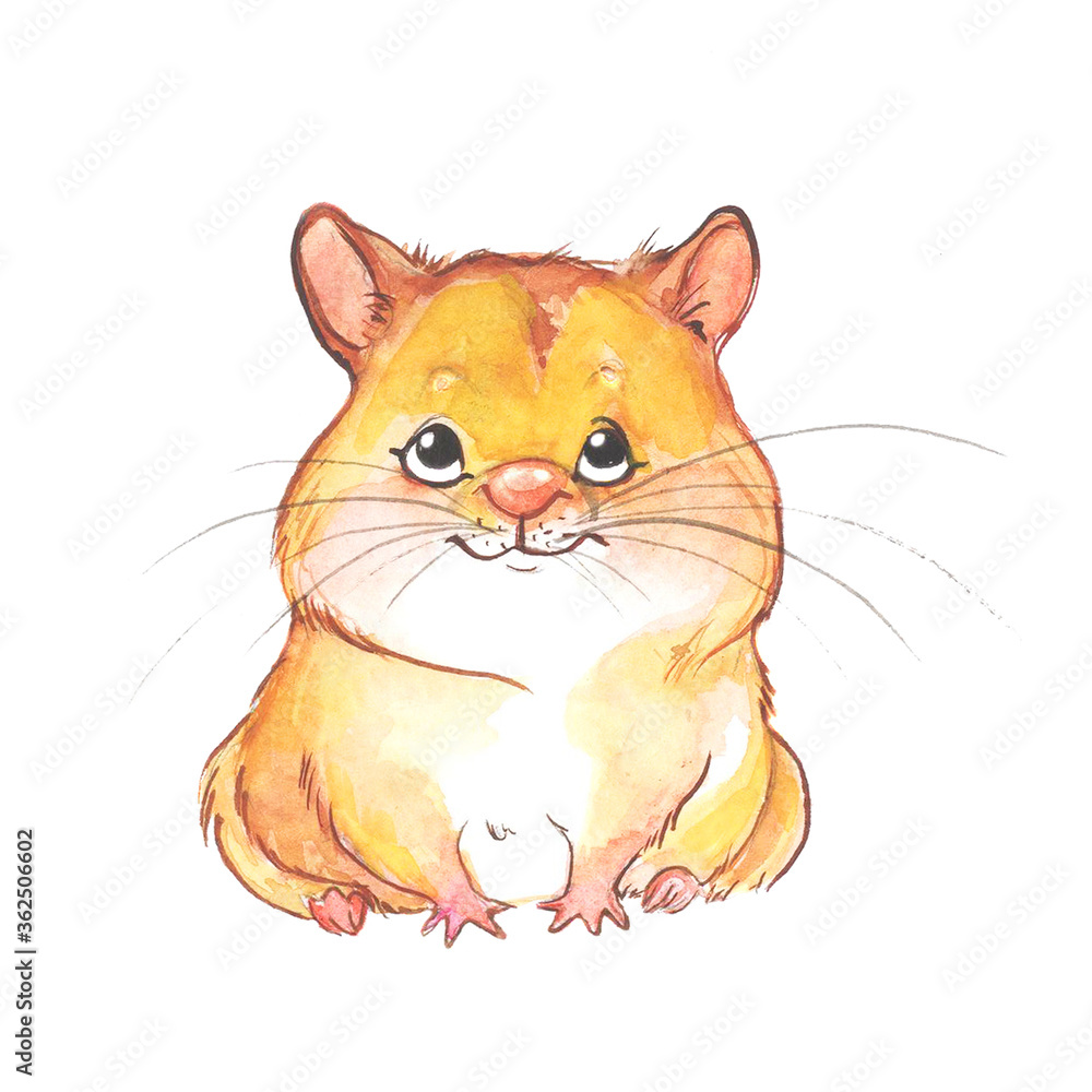 Obraz premium cute little hamster painted by watercolor isolated on white