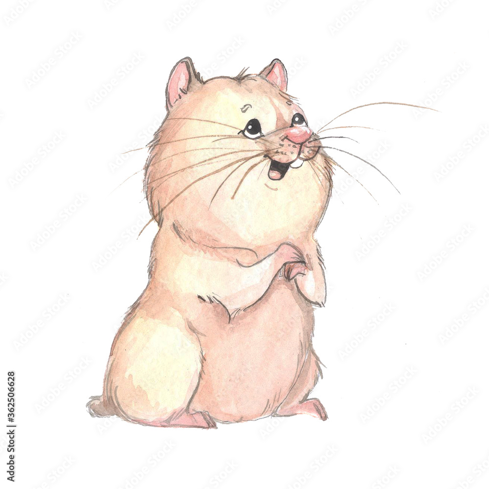 cute little hamster painted by watercolor isolated on white