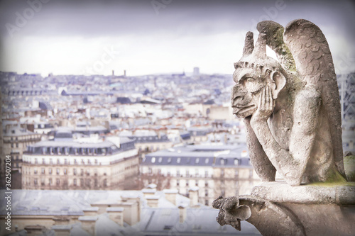 Gargoyle (chimera), stone demons, with Paris city on background.
