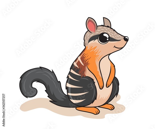 Numbat Cartoon Australian Animals Illustration