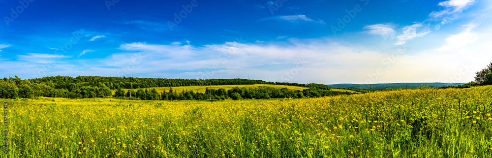 wild nature.Beautiful panorama of the summer field