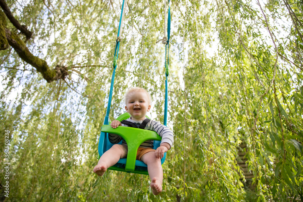A little boy having fun playing on a swing under a tree in a garden