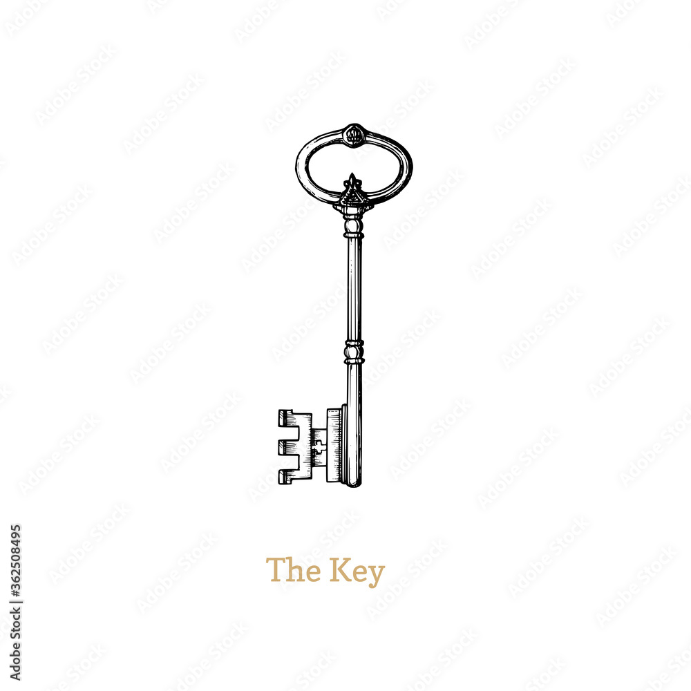 The Key of Knowledge and Power,vector illustration The Key of Knowledge and Power,vector illustration