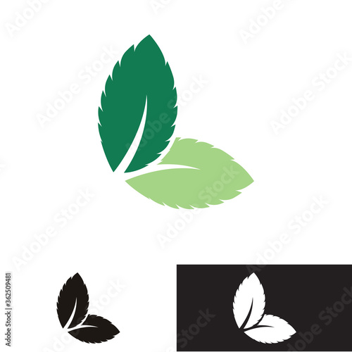 Mint leaves flat vector color icon