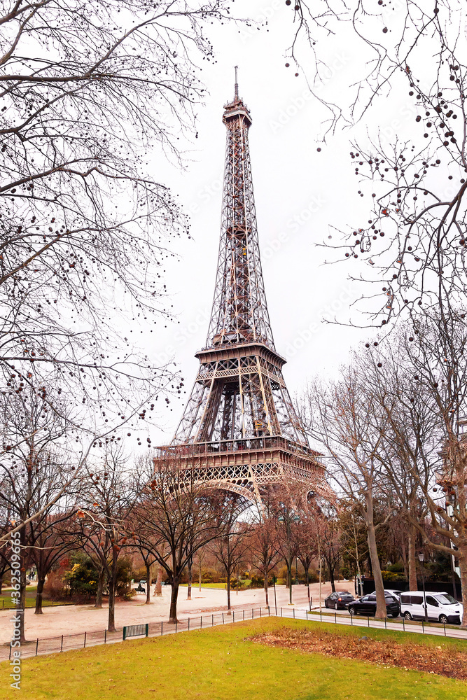 Eiffel Tower is in the winter day.