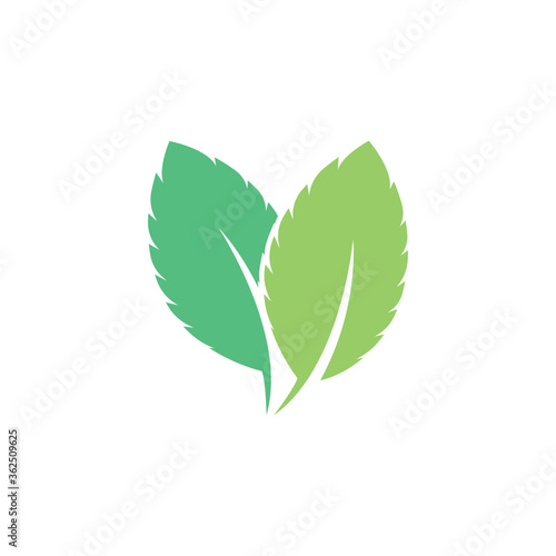 Mint leaves flat vector color icon
