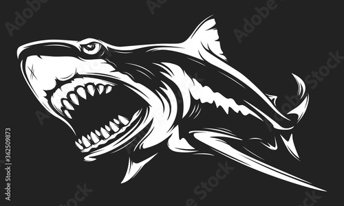 Great white shark isolated vector illustration. Shark logo. Agressive ocean animal. Angry masscot sport logotype.