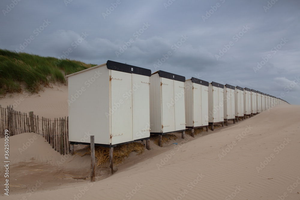 The beach in Hargen aan Zee in Netherlands The beach in Hargen aan Zee in Netherlands