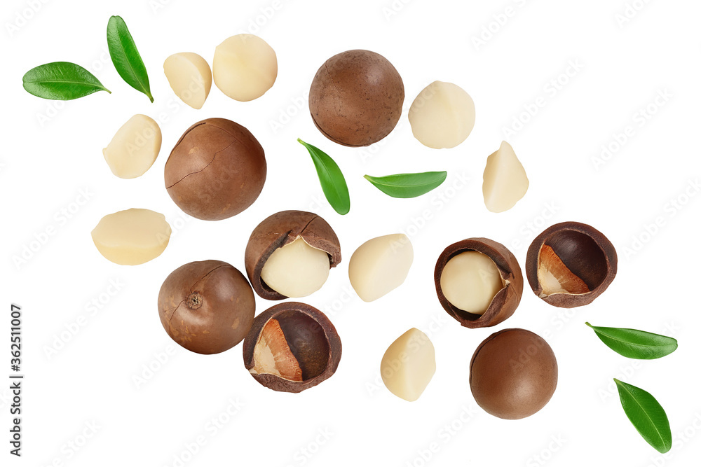 macadamia nuts isolated on white background . Top view. Flat lay macadamia nuts isolated on white background . Top view. Flat lay