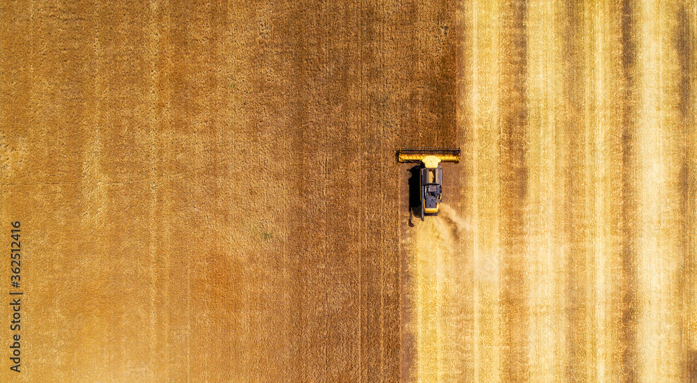 Aerial view of combine harvester harvesting wheat. Beautiful wheat field. Aerial view of combine harvester harvesting wheat. Beautiful wheat field.