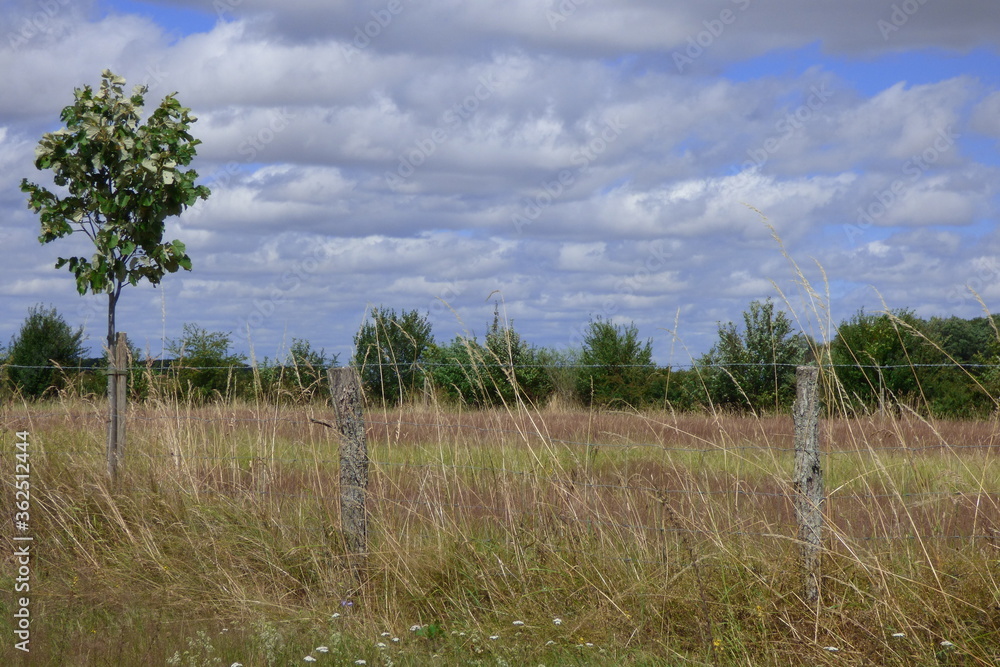 Obraz premium nature