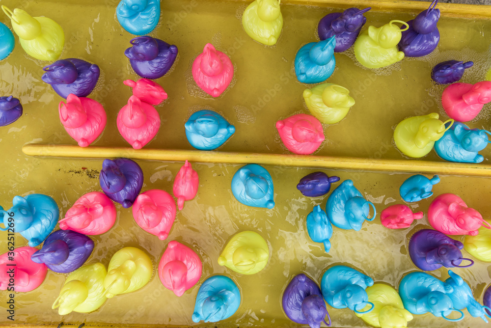closeup of colored plastic rubber ducks fishing at the fun fair