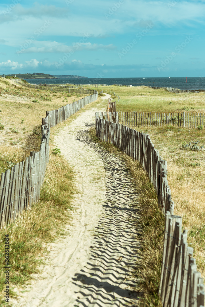 sandy path way with fence on the beach sandy path way with fence on the beach