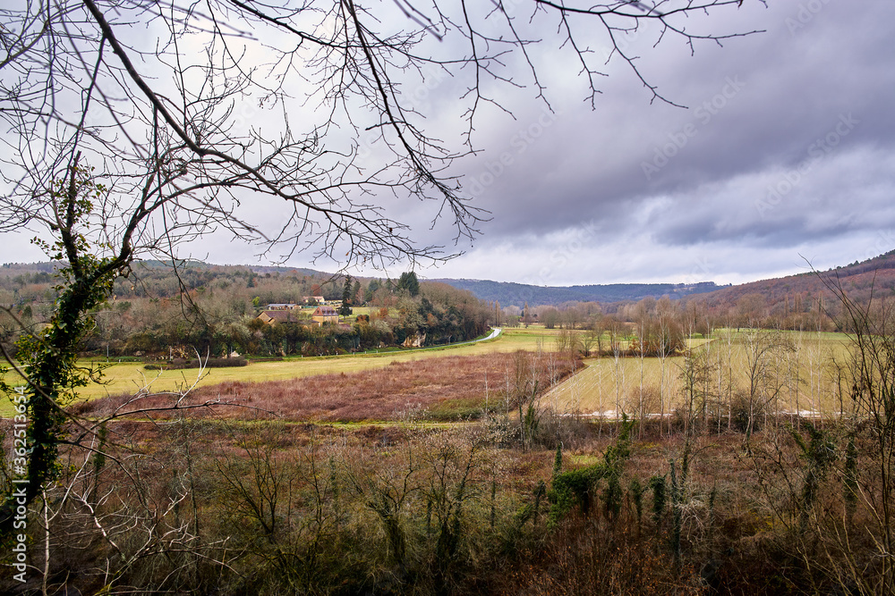 View of a meadow with autumn colors