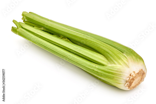 Fresh celery, isolated on white background