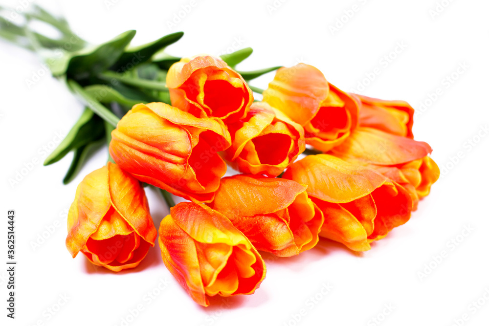 Bouquet of orange-red tulips on a white background Bouquet of orange-red tulips on a white background