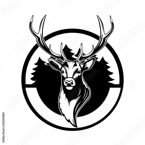 Deer head. Reindeer head isolated vector illustration. Wild animal. Hunting logo.