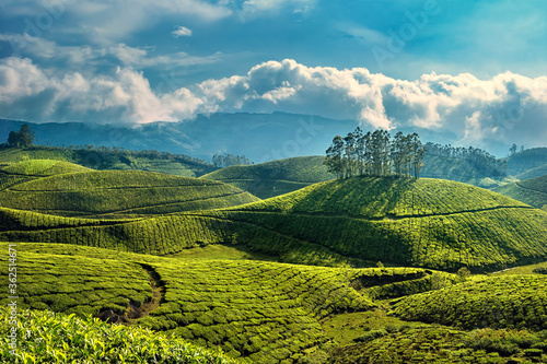 Obraz na plátně A picturesque view of Munnar in Kerala