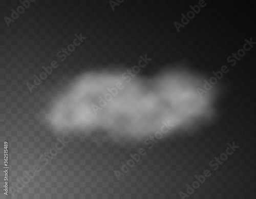 Cloud or smoke effect isolated on transparent background. White vapor steam backdrop. Vector translucent mist, fog, smog element template