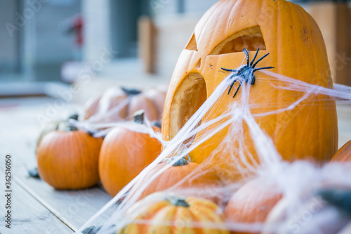 Halloween Kürbisse und Dekoration