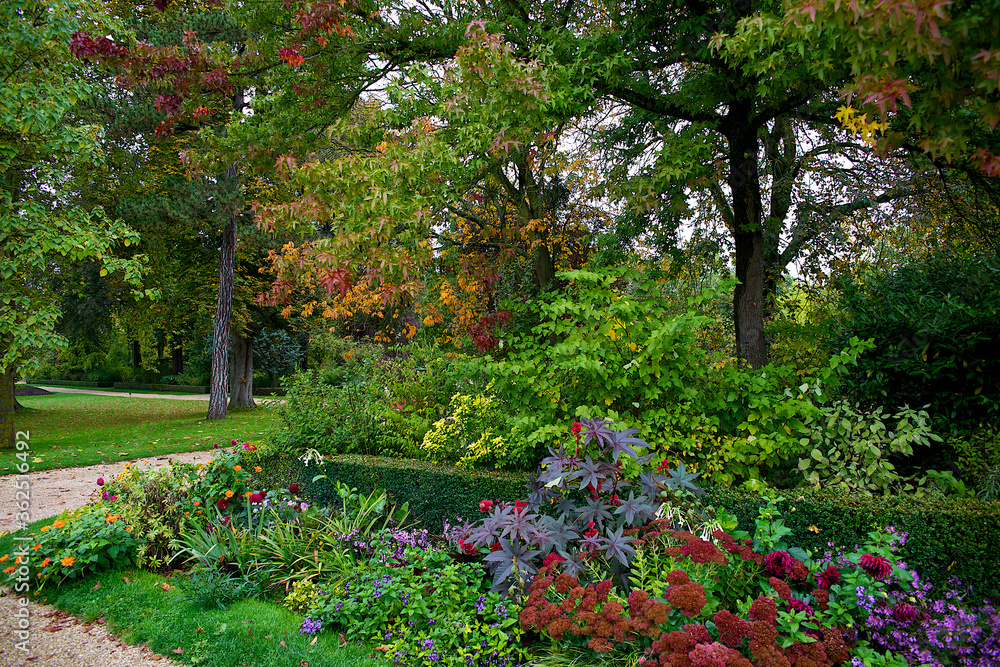 Garden with colorful and leafy flowers