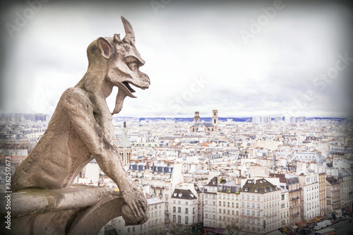 Valokuva Gargoyle (chimera), stone demons, with Paris city on background.