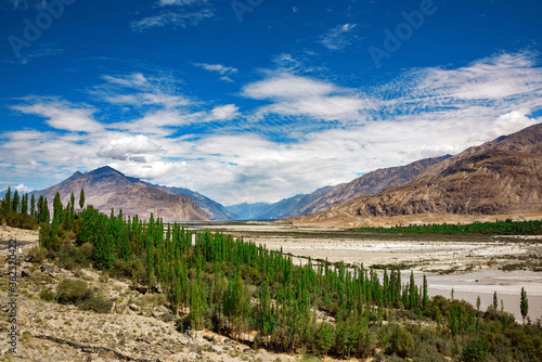 Beautiful landscape of nubra valley in Leh, Ladakh. India photo