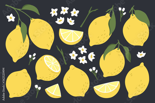 Set of whole, cut in half, sliced on pieces fresh lemons . Citrus fruit collection with lemon peel, flowers and leaves in hand drawn style. Vector illustration isolated on black background.