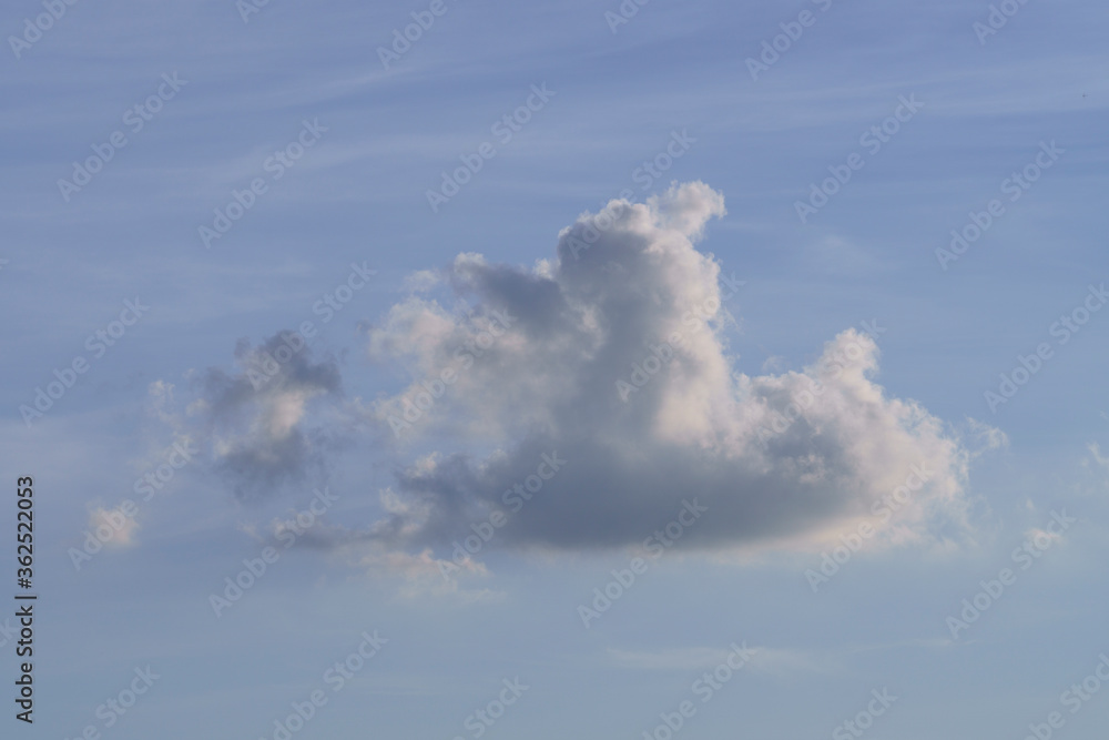 white cloud in the blue sky white cloud in the blue sky
