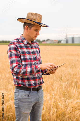 Young caucasian farmer checking wheat field progress with tablet using internet.