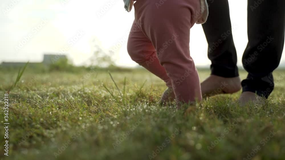 baby first step outdoor walking. mother help her baby to walk her first step in the field during sunset baby first step outdoor walking. mother help her baby to walk her first step in the field during sunset