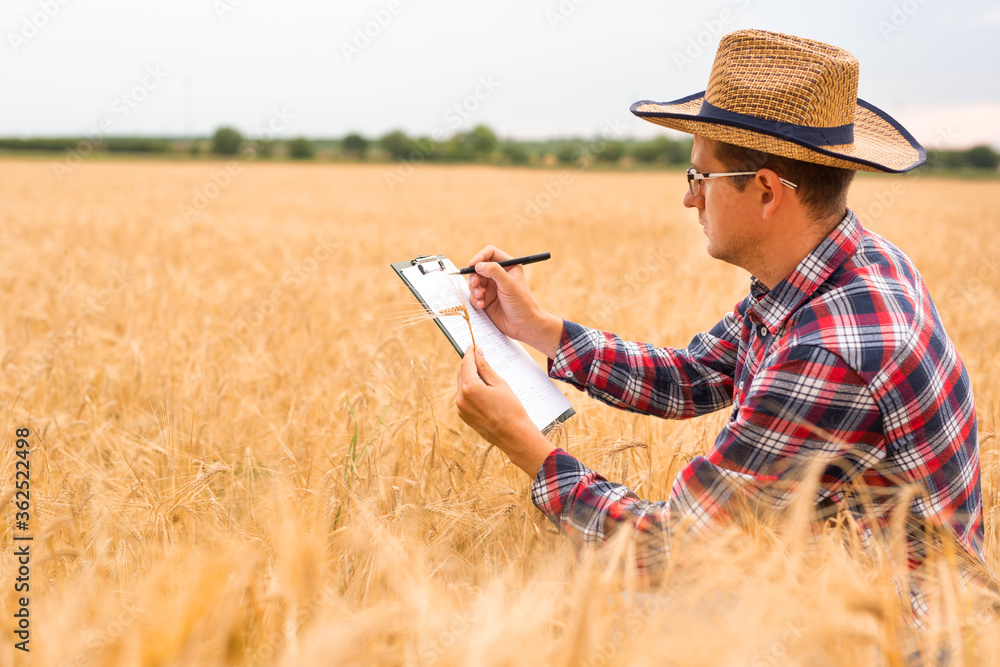 Agronomist writing on a document the wheat development plan Agronomist writing on a document the wheat development plan