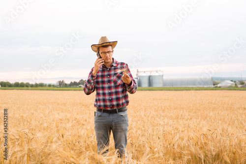 Farmer checking wheat field progress and talking on  phone. Agriculture and harvesting concept. 