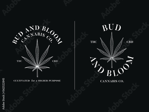 Sativa leaf bud and bloom vector graphic design white on a black background