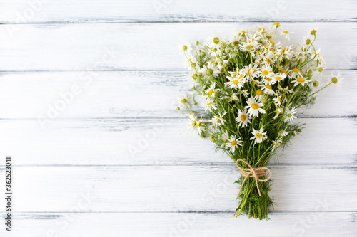 Camomile bouquet on white wooden background © Yuliya Gorbunova