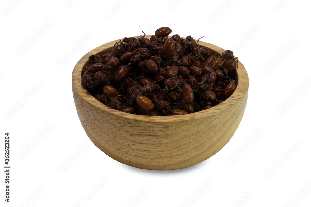 Edible insect subterranean ants isolated on white background , Northern thailand traditional food . Edible insect subterranean ants isolated on white background , Northern thailand traditional food .