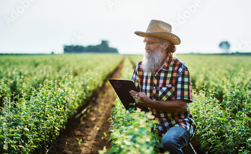 Orcharding. Farmer checking plants in the orchard and making a notes. Agricultural concept