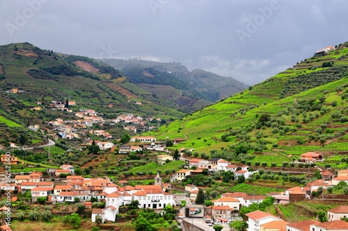 Regua landscape  Douro DOC